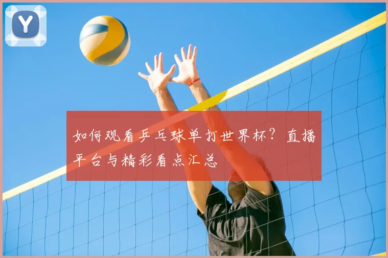 如何观看乒乓球单打世界杯？直播平台与精彩看点汇总