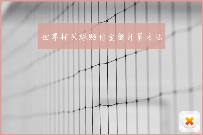 世界杯买球赔付金额计算方法