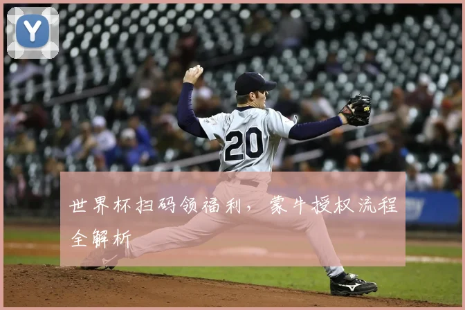 世界杯扫码领福利，蒙牛授权流程全解析