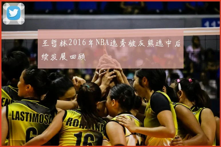 王哲林2016年NBA选秀被灰熊选中后续发展回顾