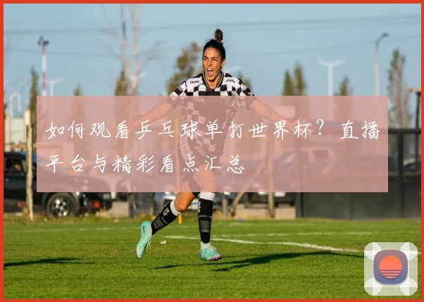如何观看乒乓球单打世界杯?直播平台与精彩看点汇总