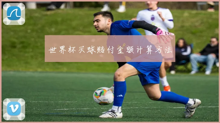 世界杯买球赔付金额计算方法