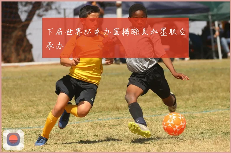 下届世界杯举办国揭晓美加墨联合承办