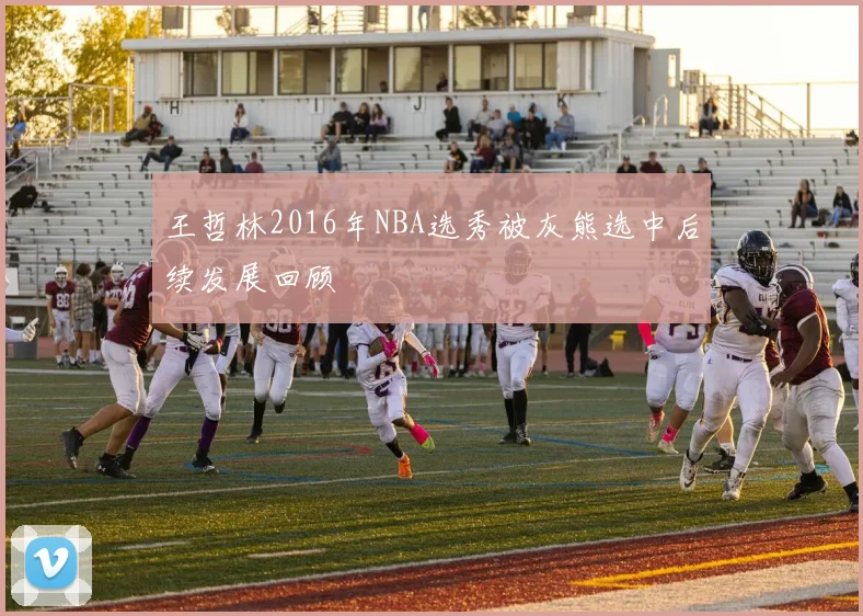 王哲林2016年NBA选秀被灰熊选中后续发展回顾